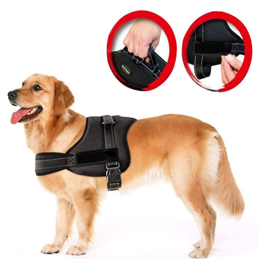 Dog Harness -Black-Large