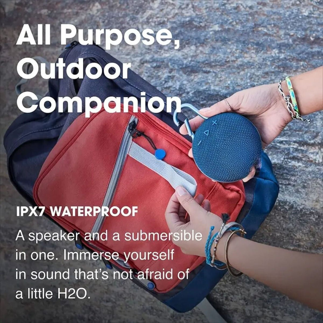 Portable Speaker System
