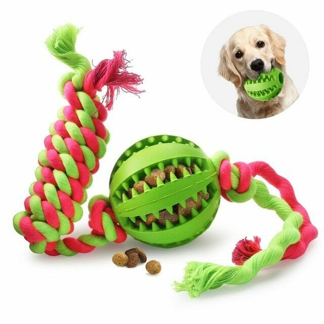 Dog Molars Toys With Rope-Green