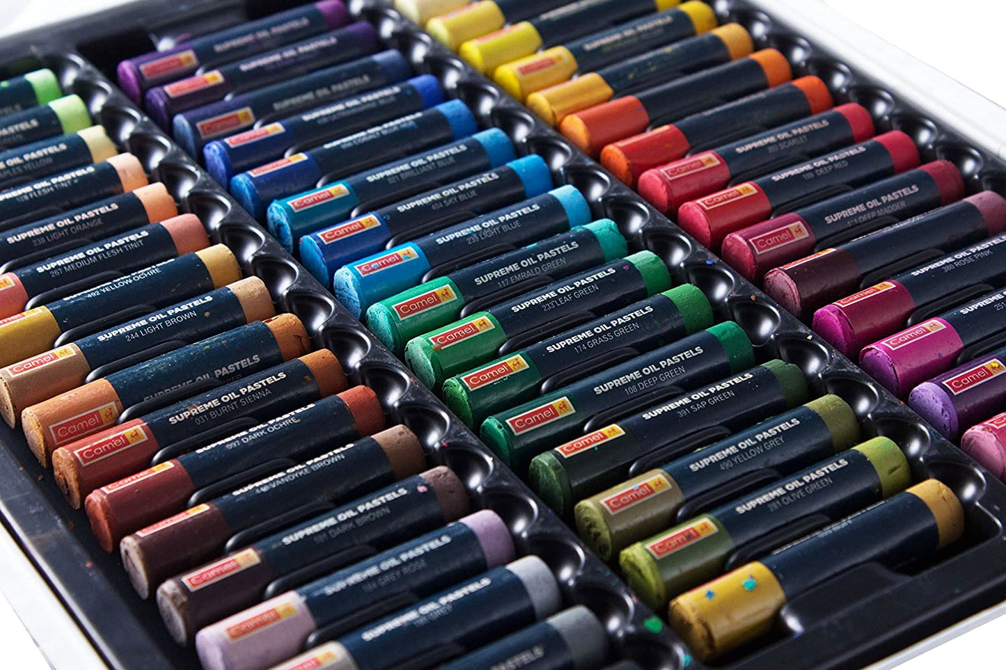 Artist Oil Pastels 50 Shades