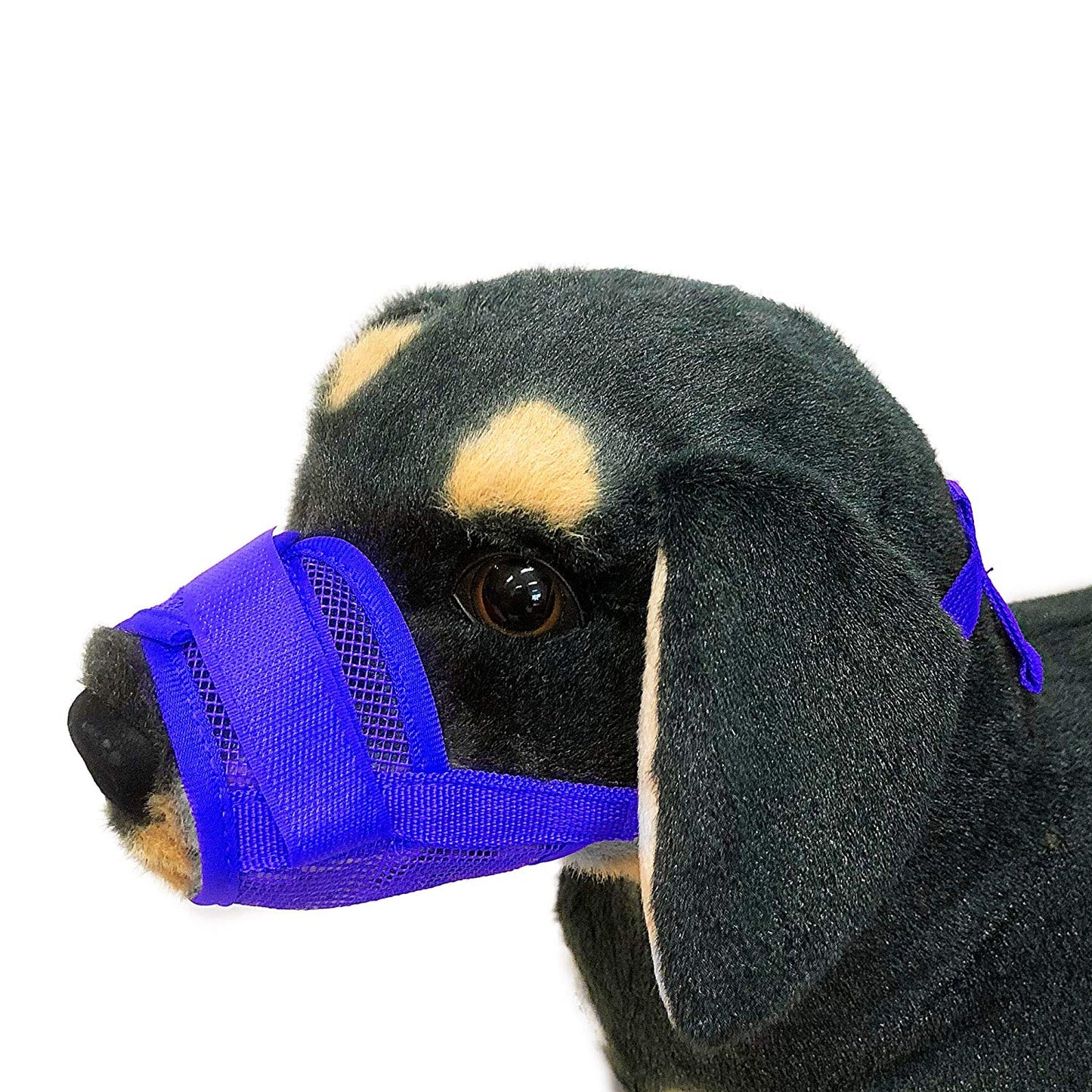 Dog Mask Mouth Muzzle -Blue-XL