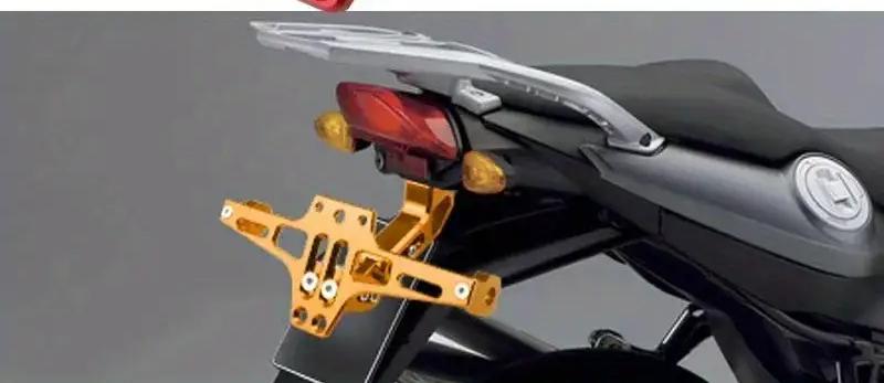 Modified Rear License Plate