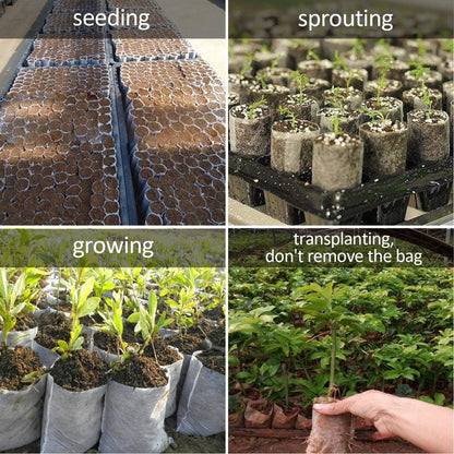 100pcs/opp Plants Nursery Bags