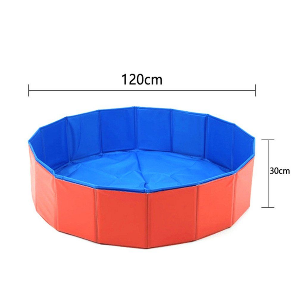 Pet Dog Swimming Pool