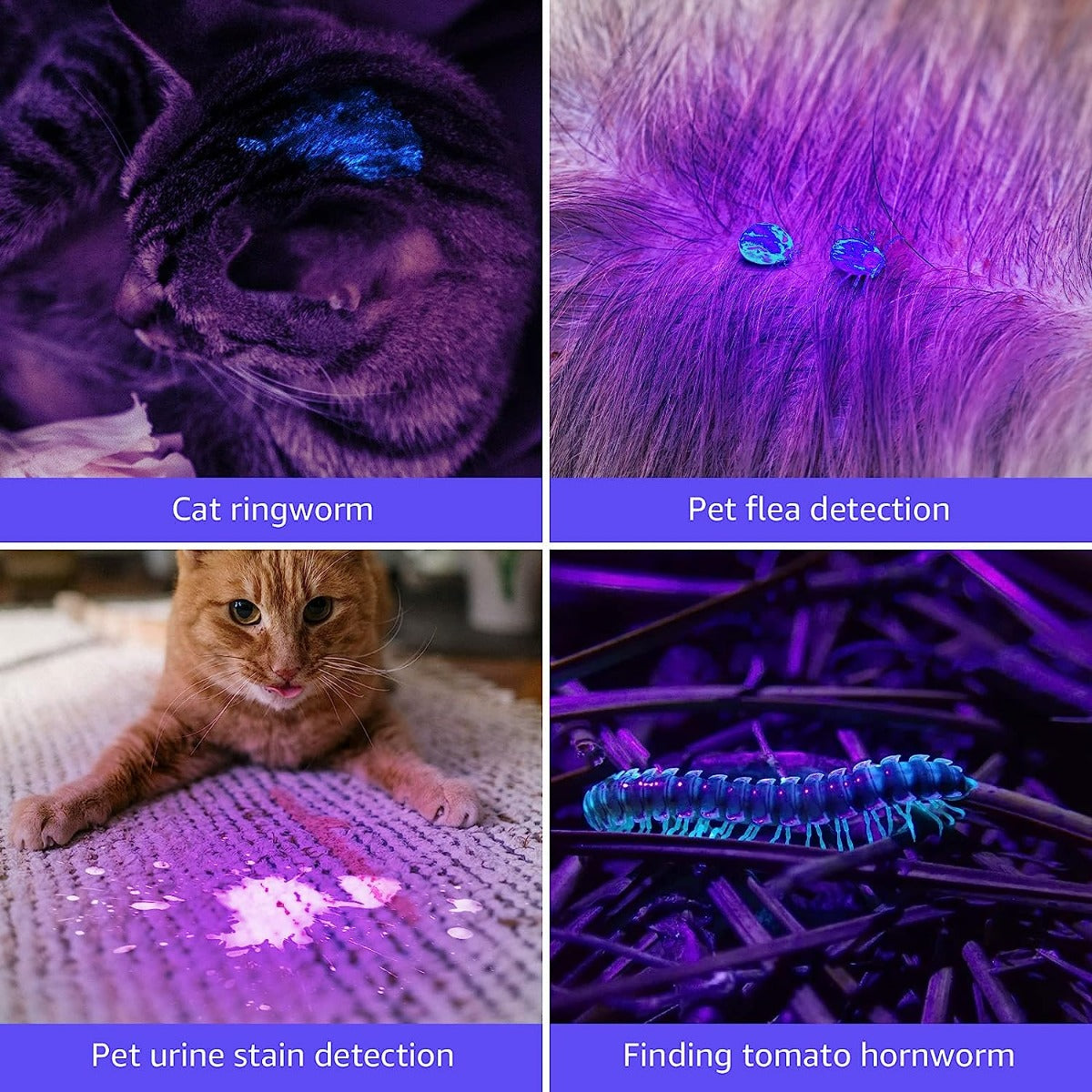 UV Torch Ultra Violet LED Flashlight
