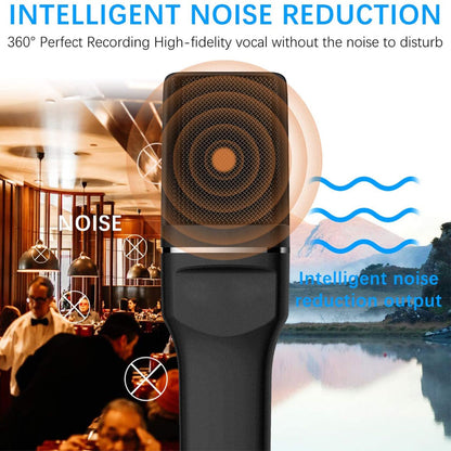 Voice Recording USB Condenser Recording