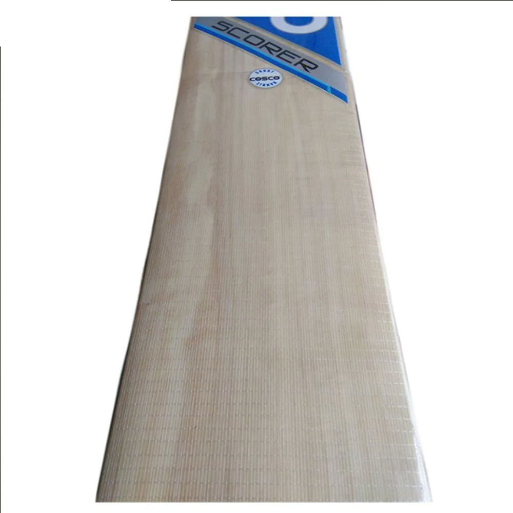 kashmir willow Cricket Bat