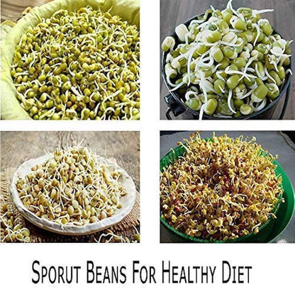 Sprout Maker Box Beans Grow 3 Tier