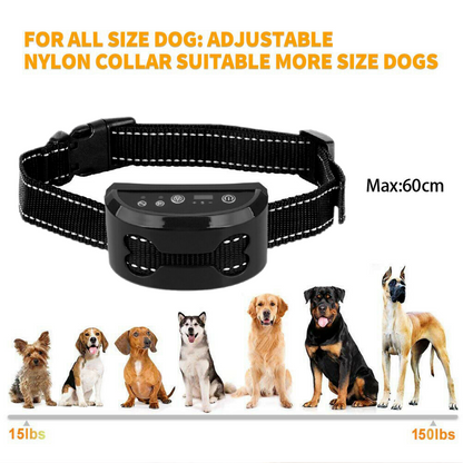 Pet Training Collar -Black