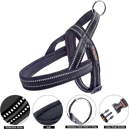 KH-006 chest back belt -Black-Small