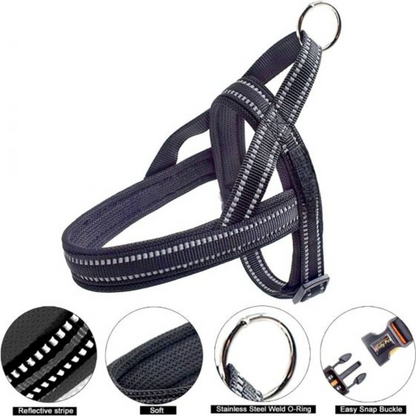 KH-006 chest back belt -Black-Large