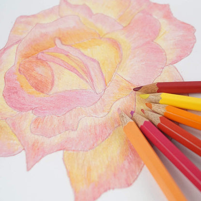 Colour Pencil Bright & Smooth Colouring 24 Shades