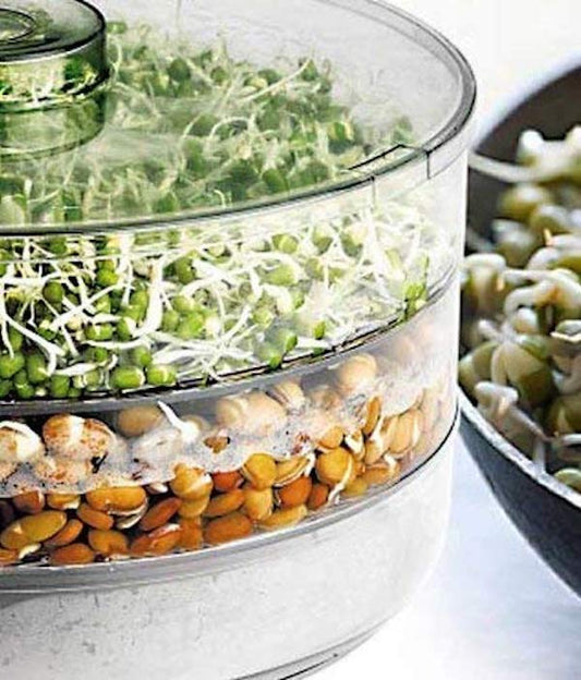 Sprout Maker Box Beans Grow 3 Tier