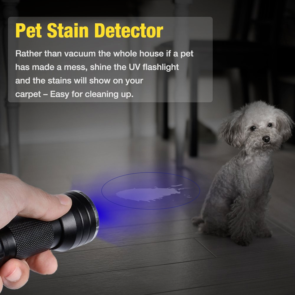 UV Torch Ultra Violet LED Flashlight