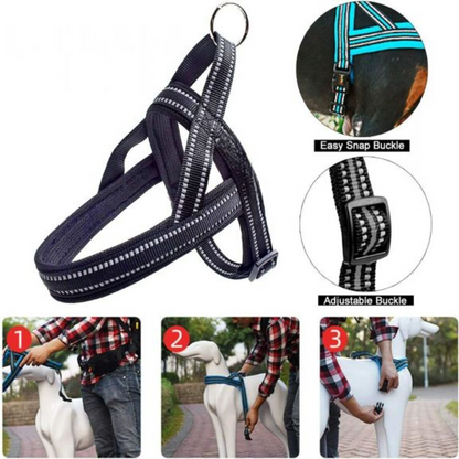 KH-006 chest back belt -Black-Medium