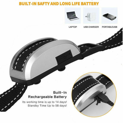 Pet Training Collar -Black