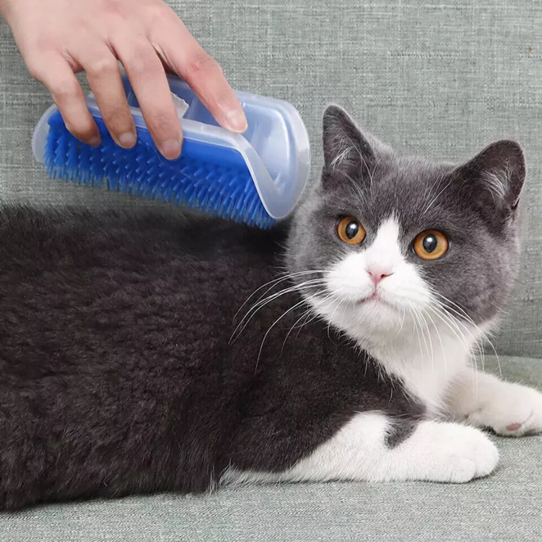Cat Self Groomer Brush-Blue