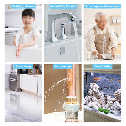 Wifi Water Leakage Detector Water Leak Sensor