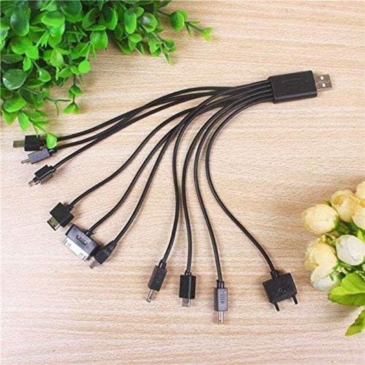 10 in 1 Multi-Cable Charger