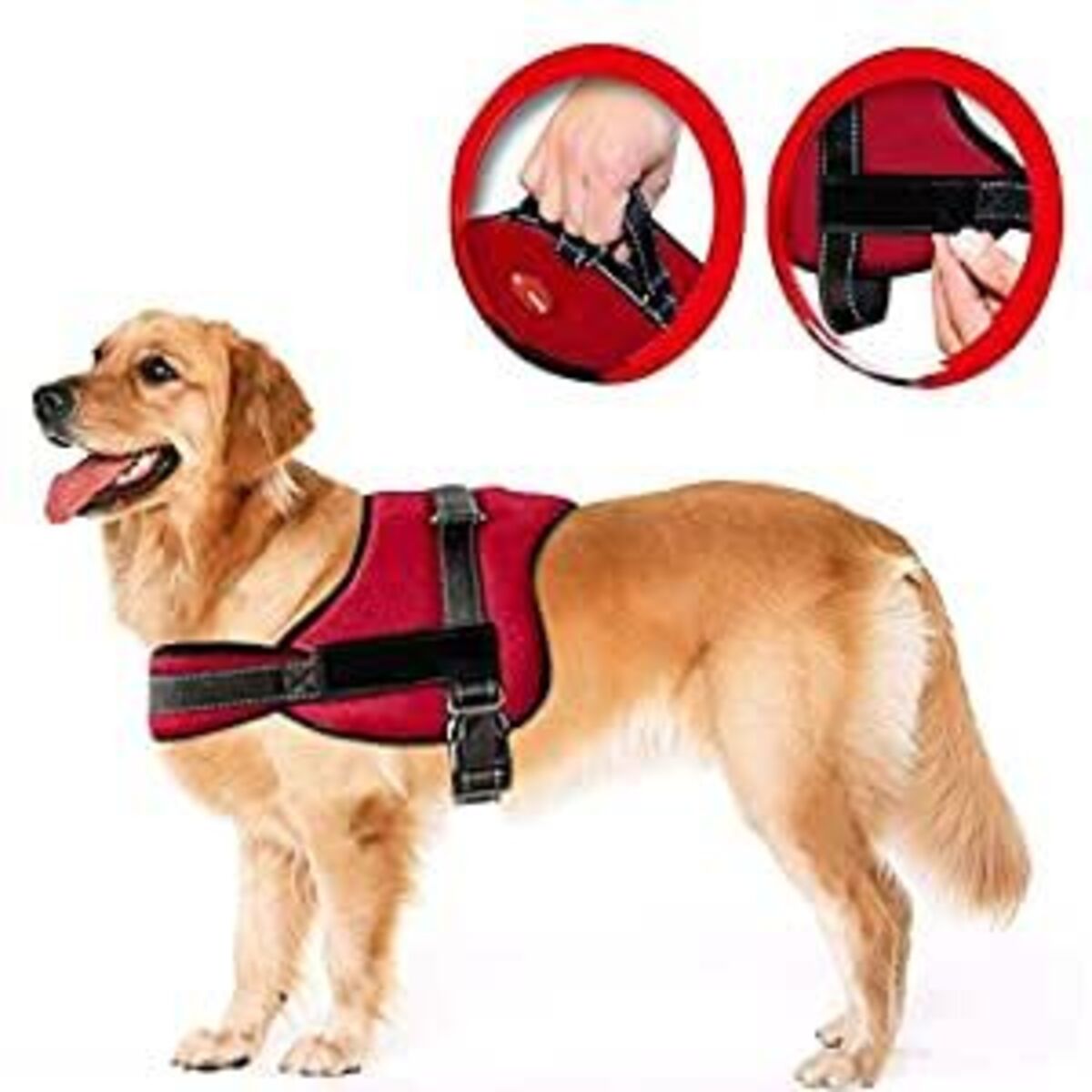 Dog Harness -Red -Extra Large