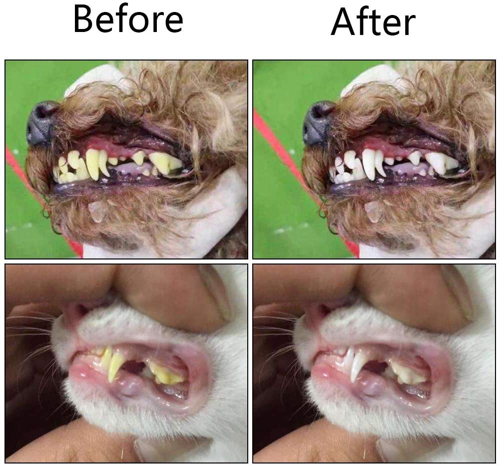 Pet Toothbrush