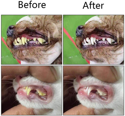 Pet Toothbrush