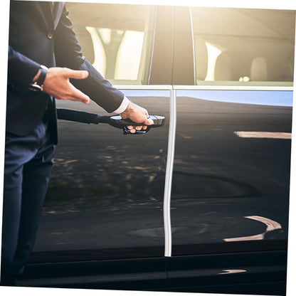 Car Door Chrome Moulding Trim Strip