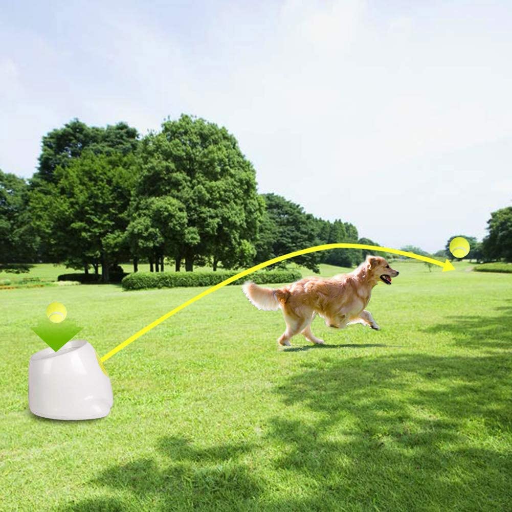 Ball Thrower Machine