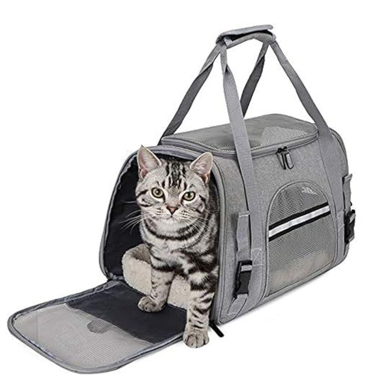 Pet Travel Carrier Bag