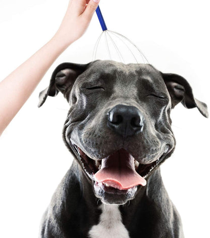 Head Scalp Massager