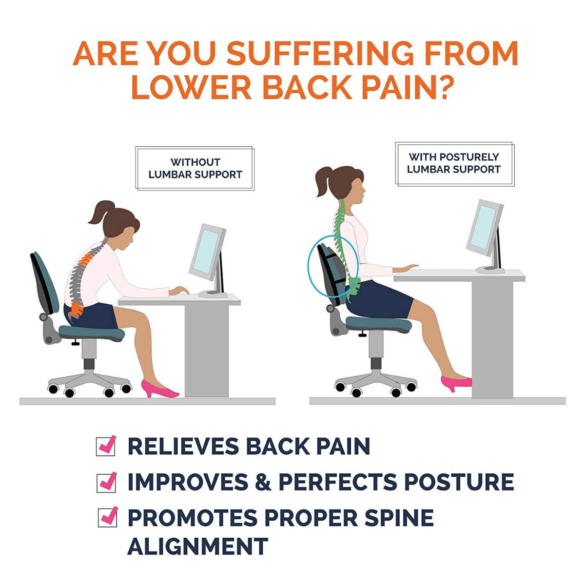 Back Support Cushion