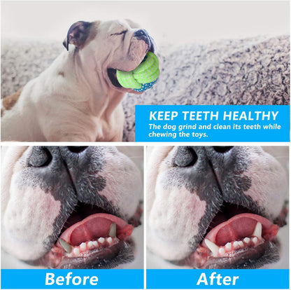 7Pcs Dog Rope Toys Braided Rope