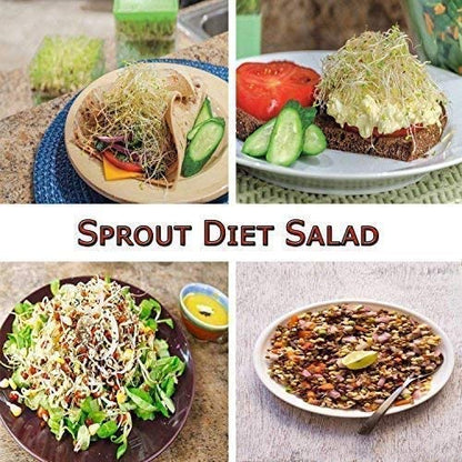 Sprout Maker Box Beans Grow 3 Tier