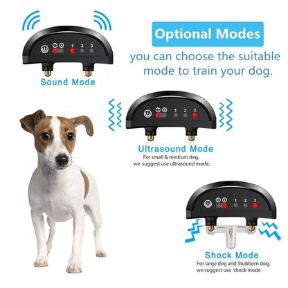 Pet Training Collar -Black