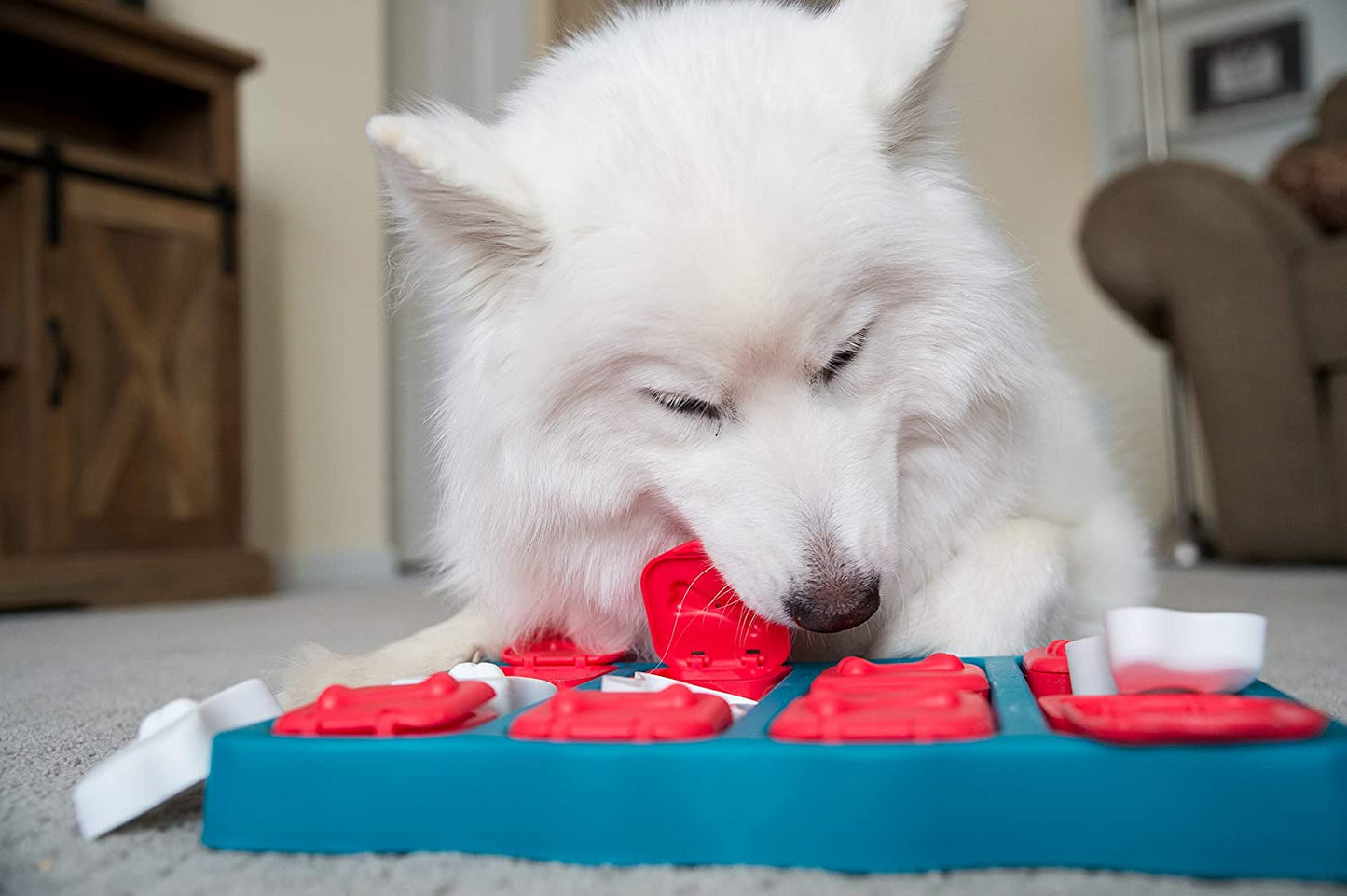 Pet Puzzle - Dog Brick