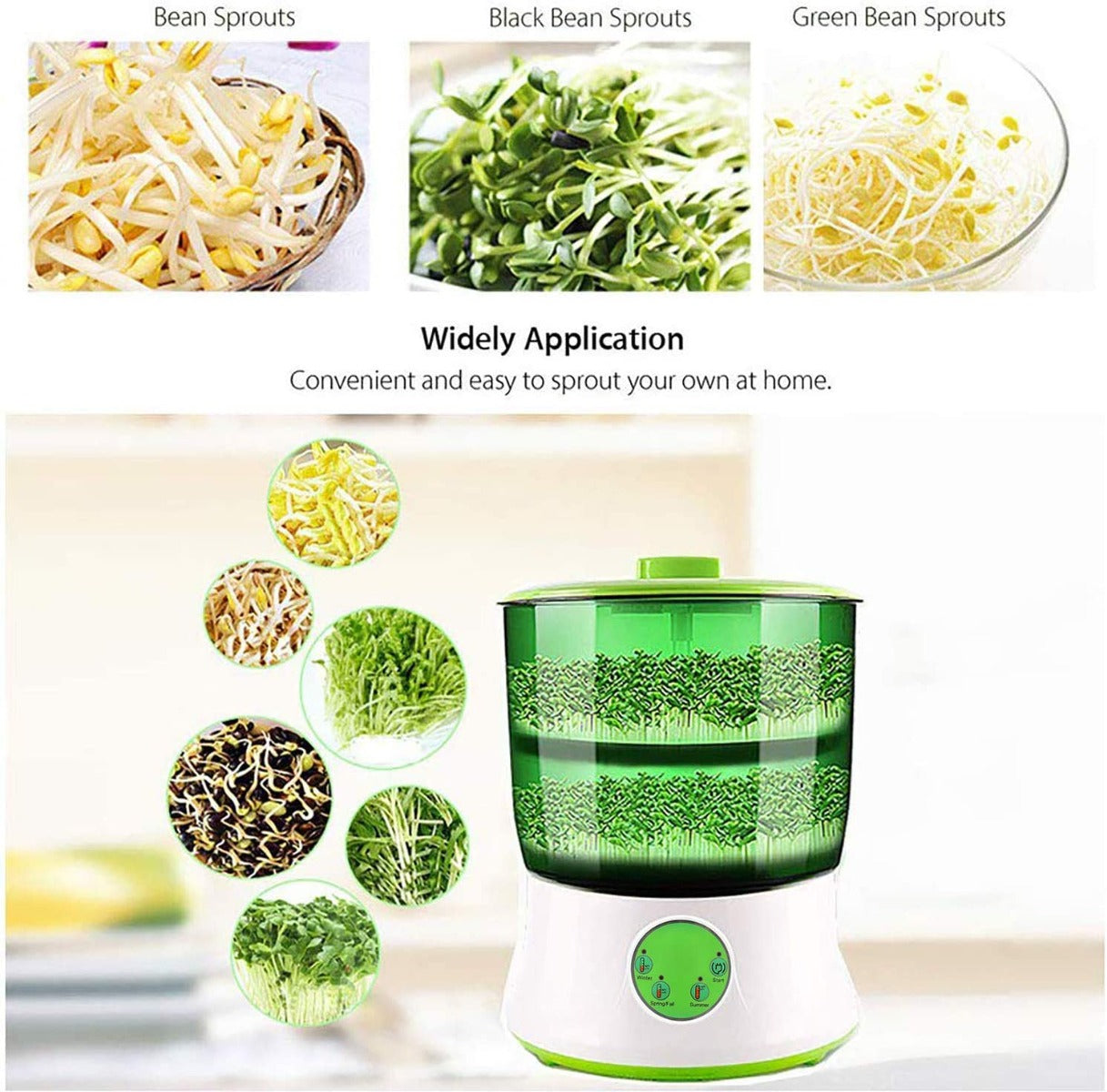Bean Sprouter Machine