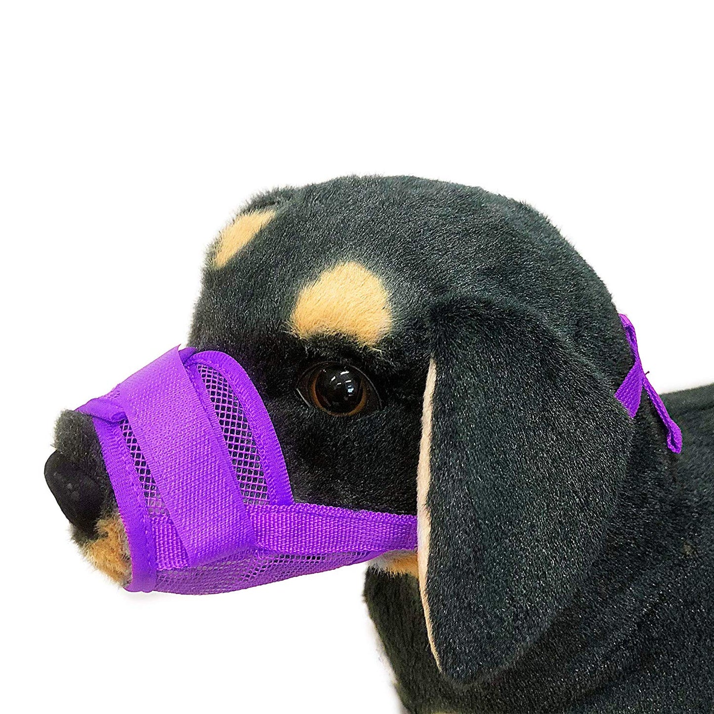Dog Mask Mouth Muzzle -Purple-M