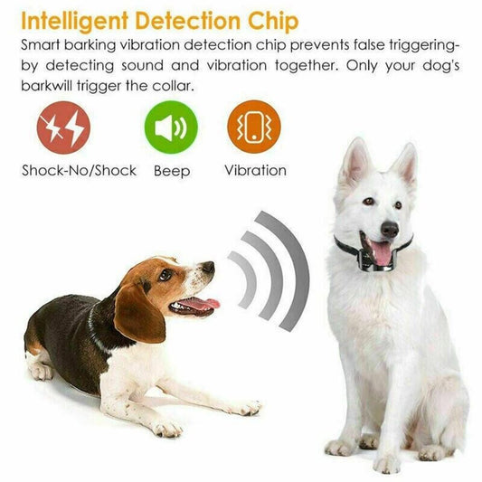 Pet Training Collar -Black