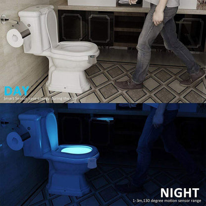 Toilet Night Light
