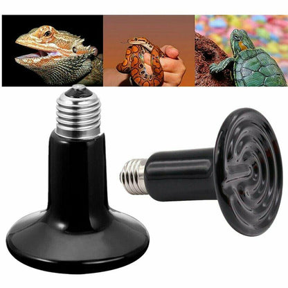 75W Ceramic Reptile Brooder Lamp