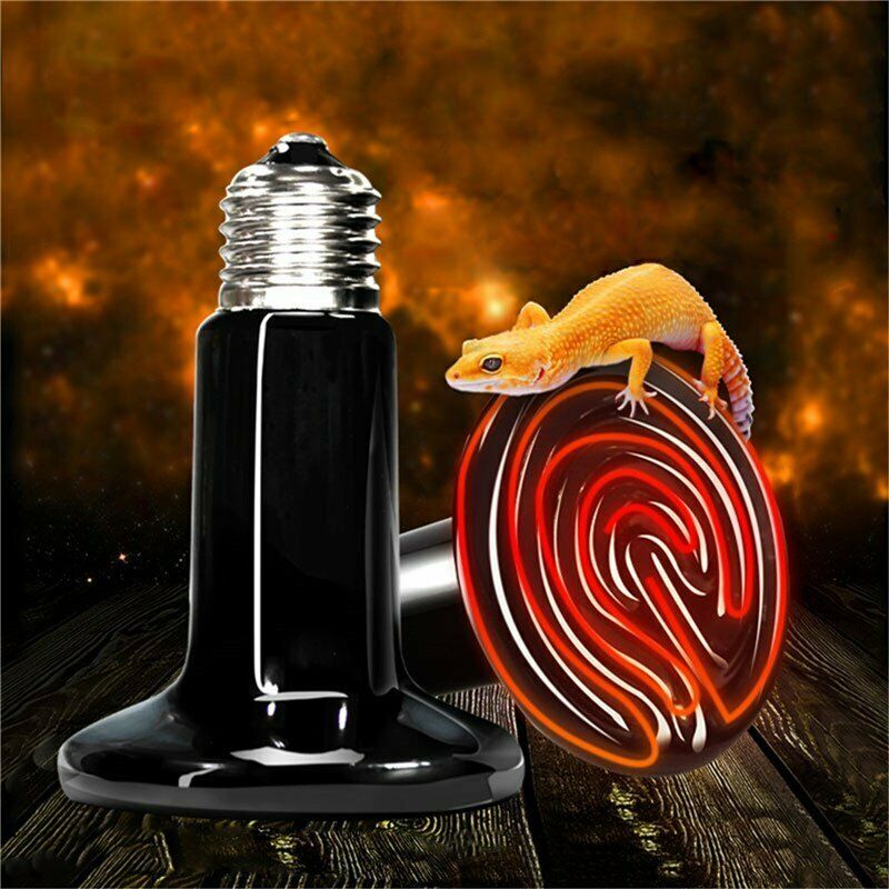 75W Ceramic Reptile Brooder Lamp