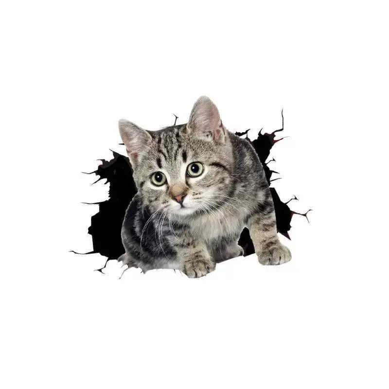Body Cute Cat Cartoon