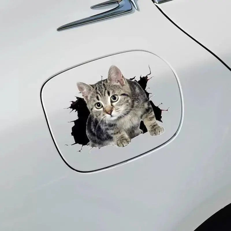 Body Cute Cat Cartoon
