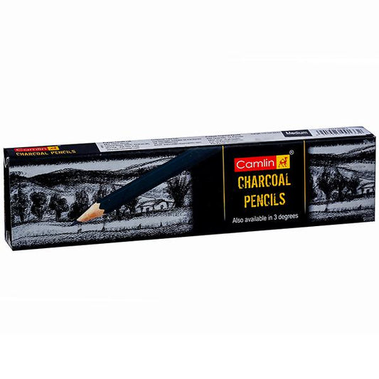 Charcoal Pencils 172 mm