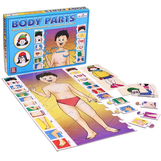 Educational Body Parts