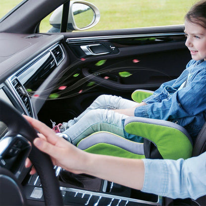 Car Air Outlet Purifier