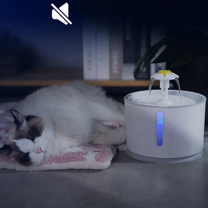 Pet Water Fountain