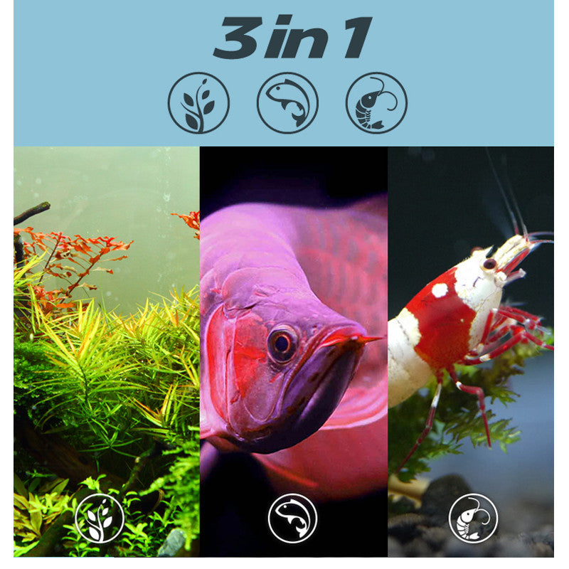 Fish Tank Doctor