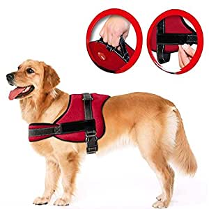 Dog Harness -Red - Small