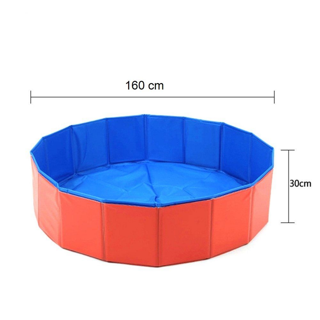 Pet Dog Swimming Pool
